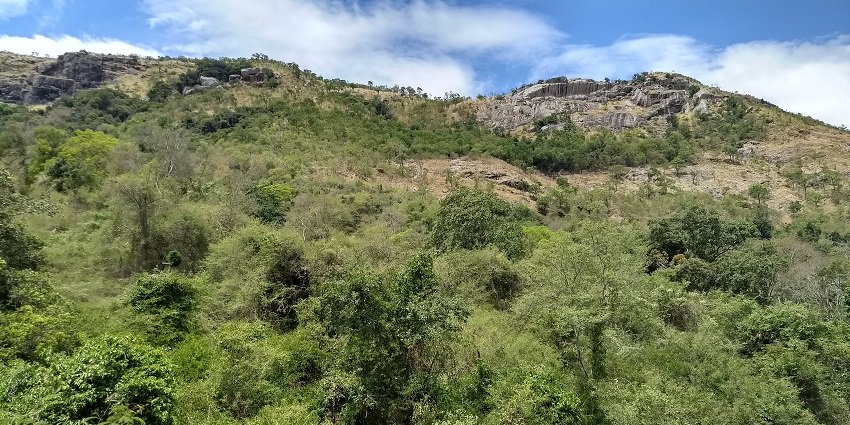 View of the Sathuragiri Hills with rugged trails passing through dense forest
