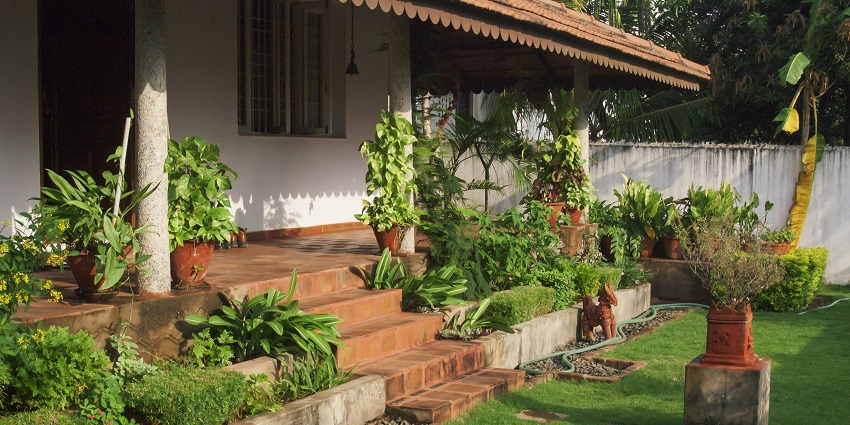 Variety of potted plants lined on the stairs of a small home and its green garden.