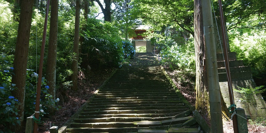 Stone steps leading up the path through lush greenery to Thiruthani Temple.