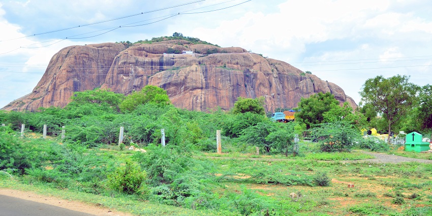 A panoramic view of Thiruparankundram Hills with green foliage and scattered rocks.