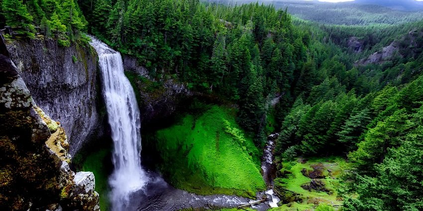 A long waterfall plunging down mossy cliffs, surrounded by mist in a forest setting in Tamil Nadu.