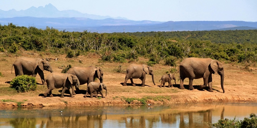 A breathtaking vista justifying the serene location of zoo in Gorakhpur, Uttar Pradesh.