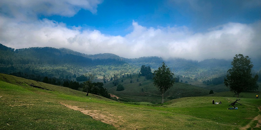 Explore the serene landscape of Pannaikadu, a beautiful town in Tamil Nadu, India