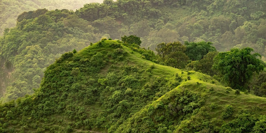 A wide view of green grasslands on a hill under a clear blue sky in the Grass Hills National Park