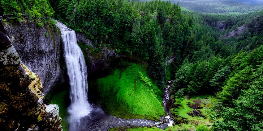 An image of a waterfall surrounded by vivid green vegetation and hazy scenery