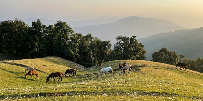 A breathtaking landscape justifying the serene location of water parks in Dehradun.