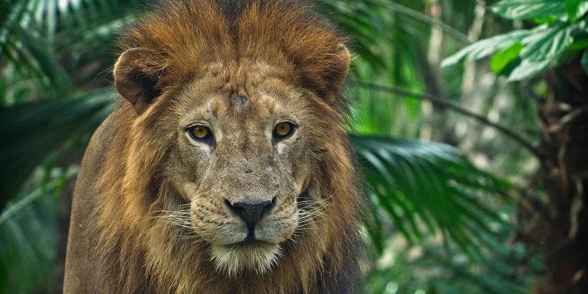 A breathtaking landscape justifying the serene location of Sonanadi Wildlife Sanctuary.