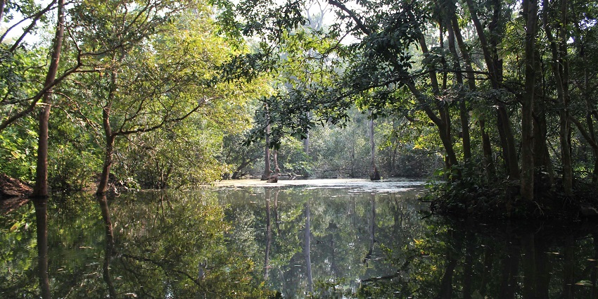 A breathtaking landscape justifying the serene location of Dudhwa National Park.