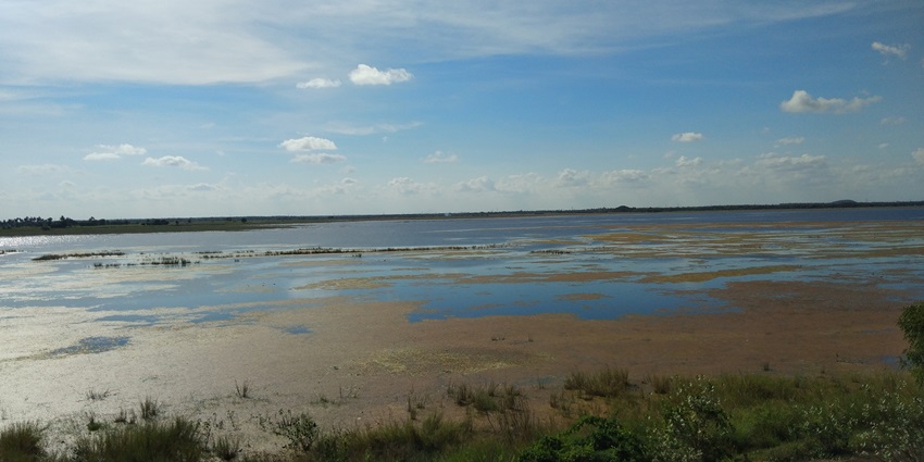 Scenic freshwater lake ideal for birdwatching, picnics, and sunset views near historic Madurantakam town, situated near Thennangur temple.