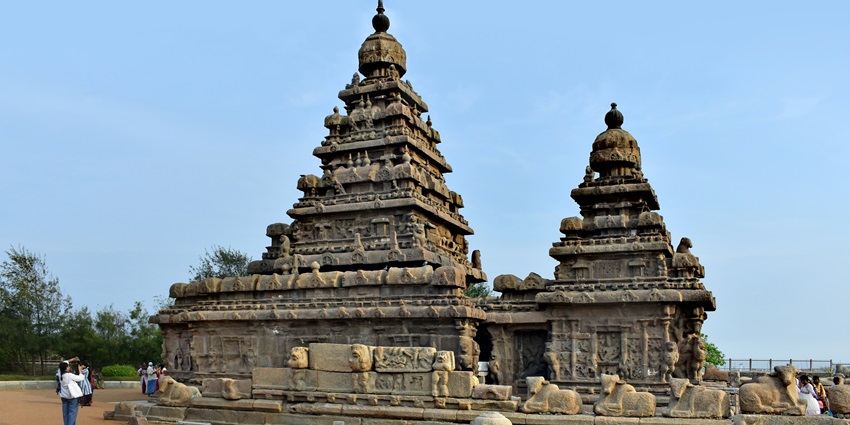 A beautiful view of the Shore Temple surrounded by green grass and a blue sky.