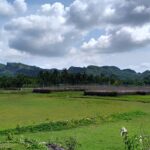 A view of a wildlife sanctuary with mountains in the background.