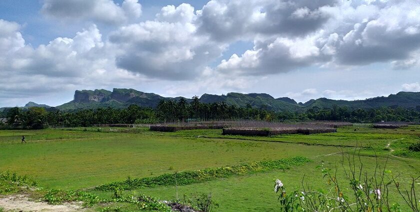 A view of a wildlife sanctuary with mountains in the background.