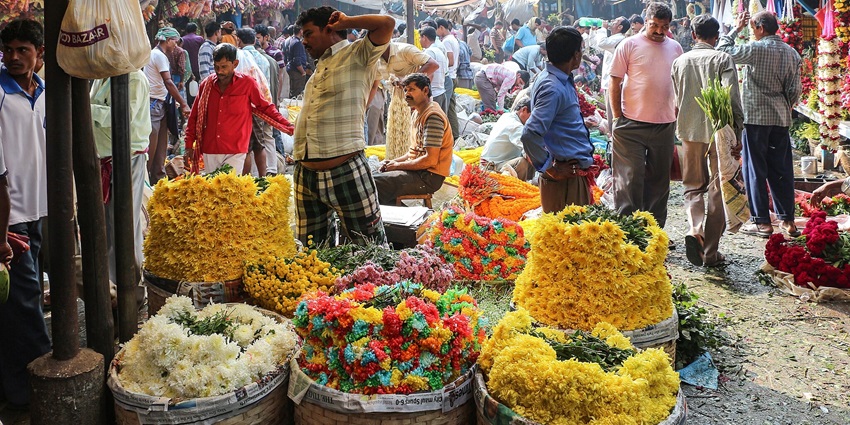 Shopping in Mallick Ghat Flower Market, one of the offbeat places in Kolkata.