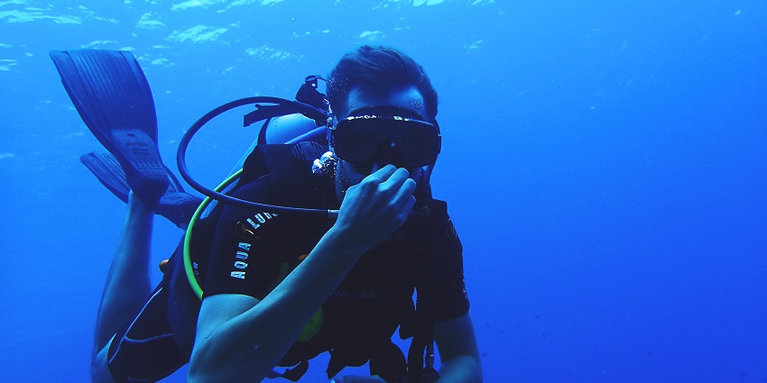 An image of a diver surrounded by diverse marine life in Malvan Marine Sanctuary