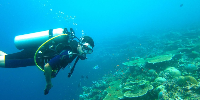 An image of scuba divers exploring the colourful coral reefs near Malvan