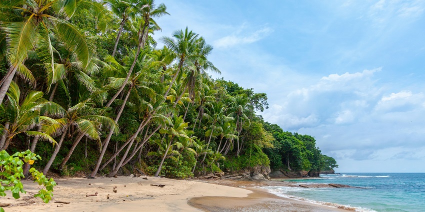 Mandapam Beach is ideal for diving and relaxation, making it one of the best beaches