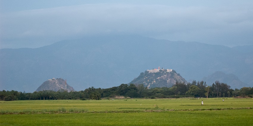 A picture of a lush farmland in Tamil Nadu with a majestic hill in the background