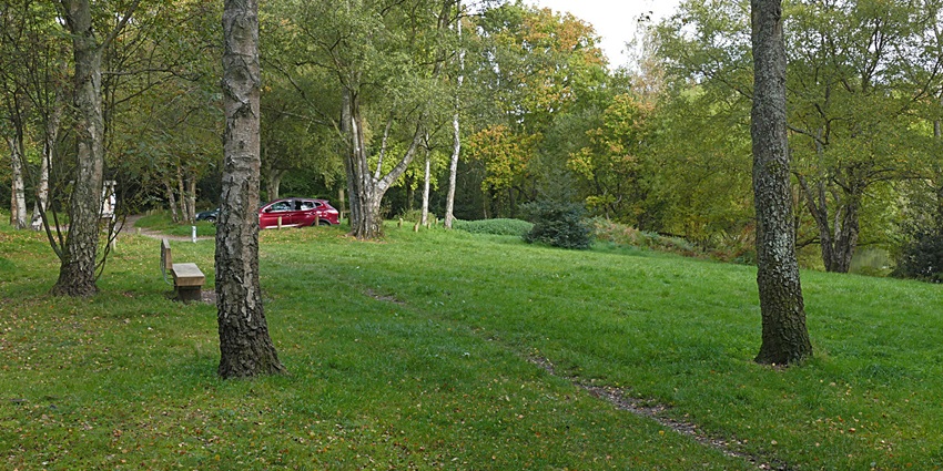 A picture of a lush picnic garden with a vast spread of trees and benches for visitors