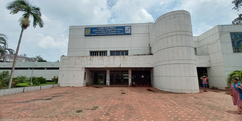 Immerse yourself in knowledge of marine life of the Bay of Bengal at MARC, Digha