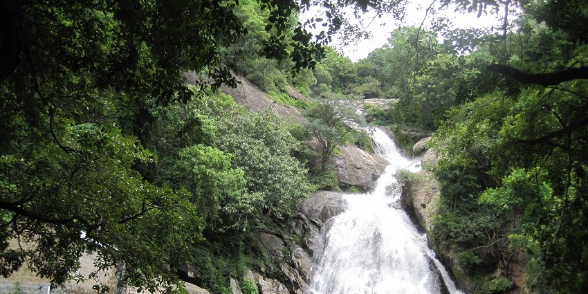 A picture of Monkey Falls, which is a serene location that is perfect for relaxation.