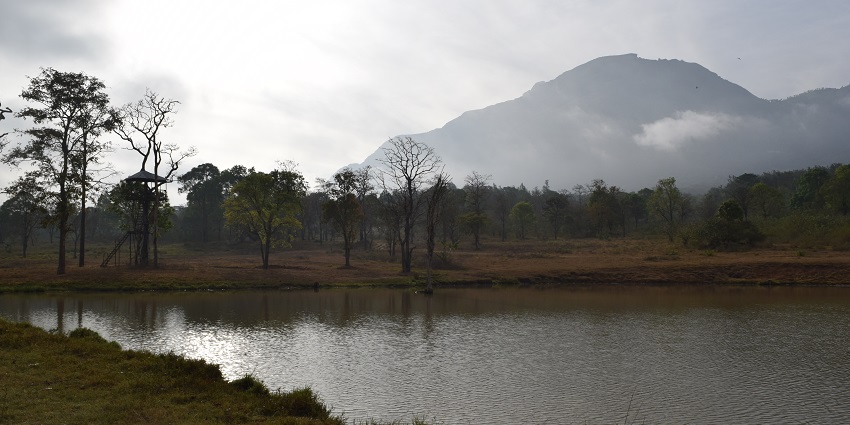 A scenic view of Masinagudi, one of the peaceful places to visit in Mudumalai