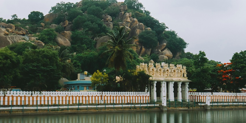 A picture of a pond inside a temple premises with greenery all around