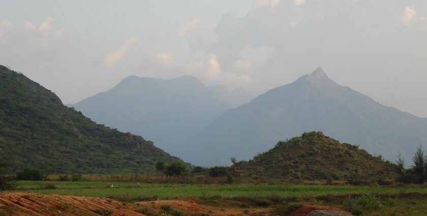 An image of a breathtaking view of the Meghamalai mountain range featuring greenery and misty peaks