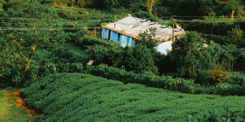 An image of Meghamalai, one of the most famous tourist destinations located near Trichy.