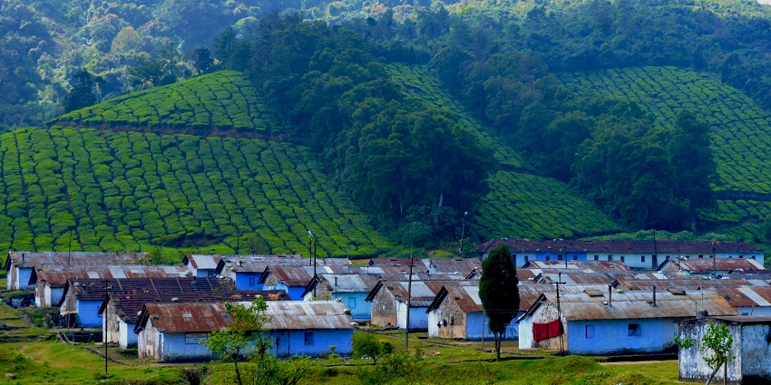 A picture of the misty Meghamalai mountains, one of the best hill stations in Tamil Nadu.