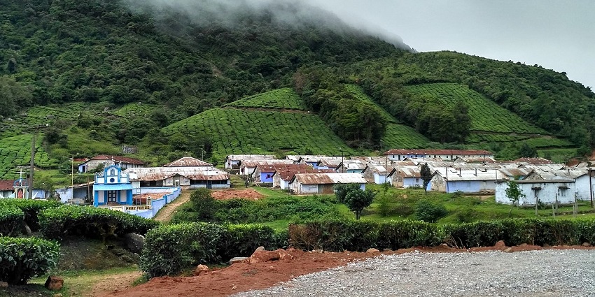Megamalai hill station with hills covered in dense forests, tea plantations and mist