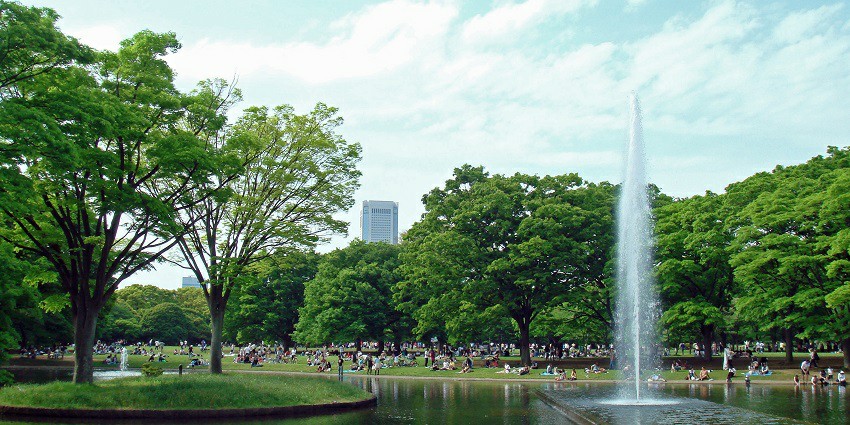 Visit the clean and Green Park, one of the Noida’s picnic places.