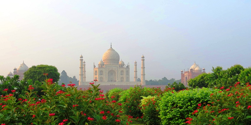 Beautifully blooming Mehtab Bagh located right across the Taj Mahal