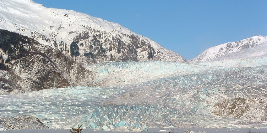 Mendenhall glacier in the winter, completely blanketed by snow with sparse plants nearby.
