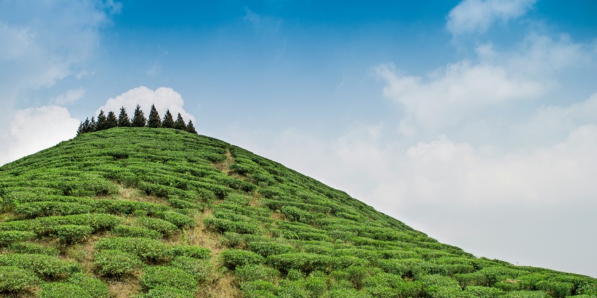 A glimpse of Mirik which is a serene heaven among the hill stations in West Bengal.