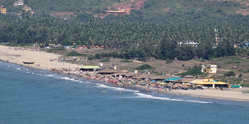 Morjim Beach is home to the Olive Ridley turtles and is famous as the Turtle Beach.