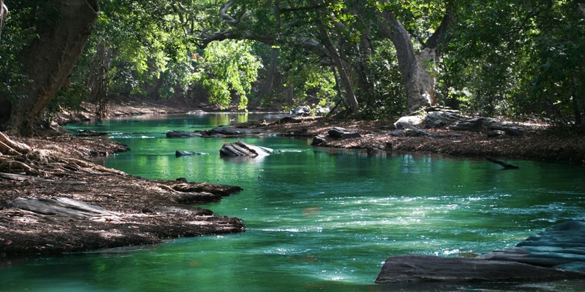 A picture of Moyar River, which is one of the top places to visit in Masinagudi.