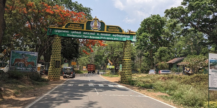An image of a traditionally designed Mudumalai tiger reserve entrance in broad daylight