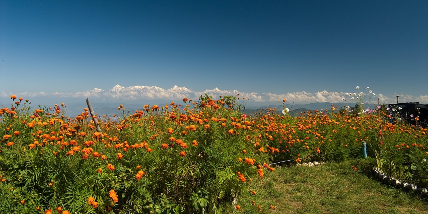 A beautiful view of the Himalayas from the top of Mukteshwar, Uttarakhand.