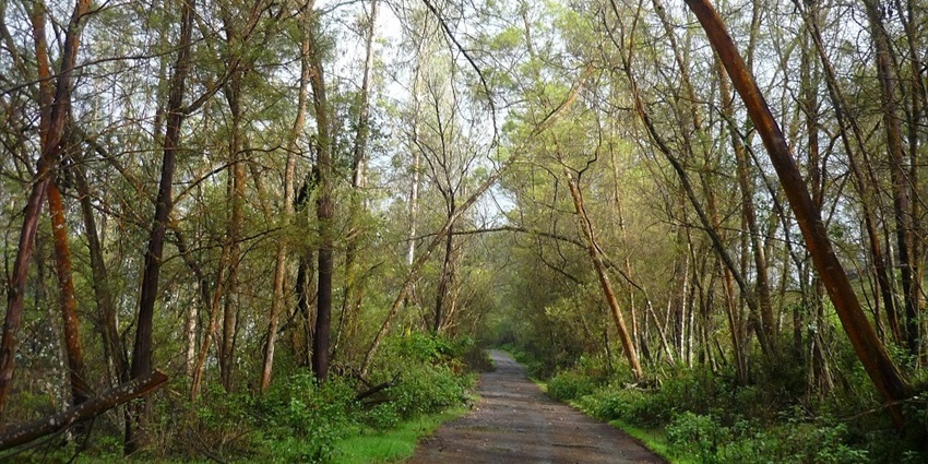 View of Mukurthi National Park which is one of the famous wildlife scentury in Ooty.