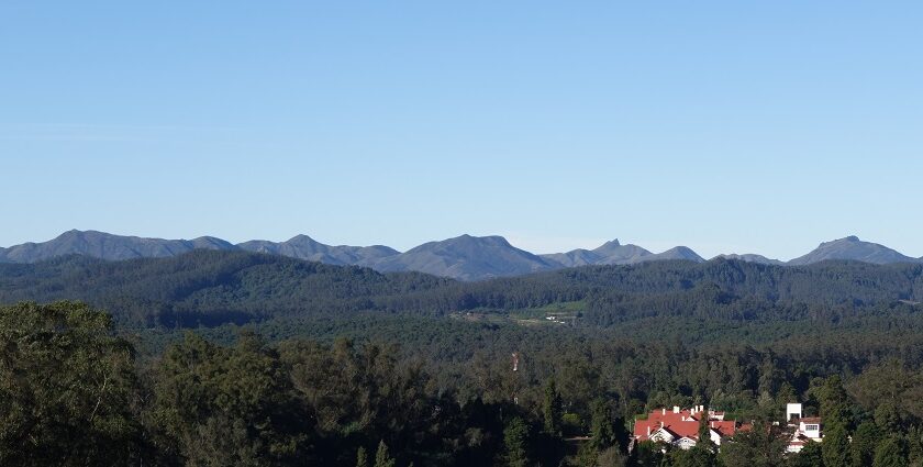 A scenic view of Maduppumalai hills in Mukurthi National Park, with lush green slopes.