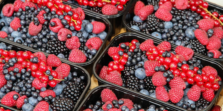 Sweet mulberry snack served in a box along with other berries