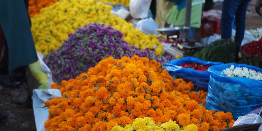 Flower market at the Mullick Ghat, one of the places to visit in Howrah