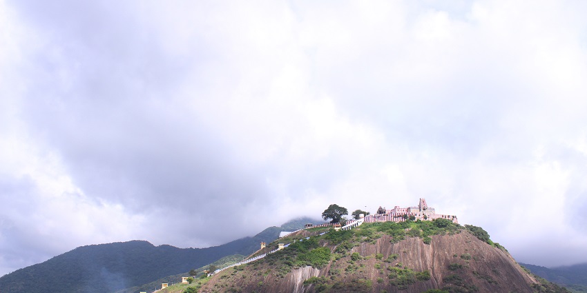 The Narasimha statue is located at the Krishnapuram temple, incarnation of Lord Vishnu