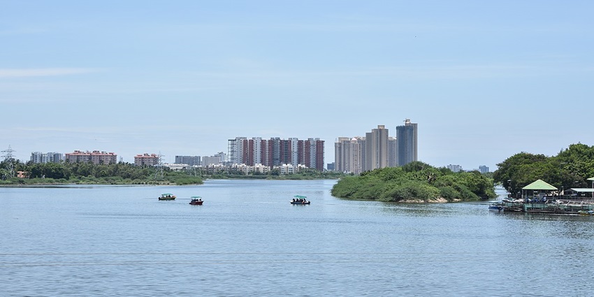 A full view of the Muttukadu backwaters, surrounded by greenery and buildings at the back.