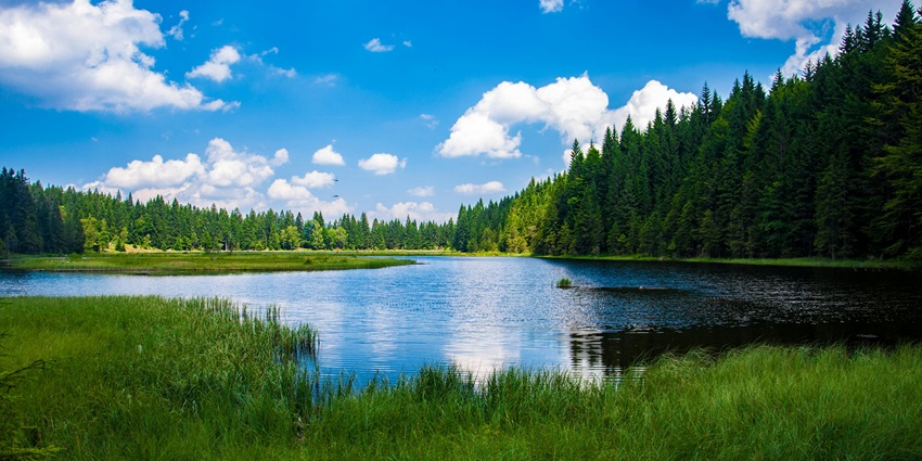 Places to visit in Uttarkashi feature a tranquil lake surrounded by scenic views.