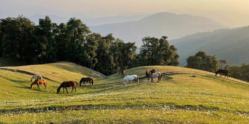 A glimpse of the beautiful Nag Tibba which is one of the offbeat places in Uttarakhand.