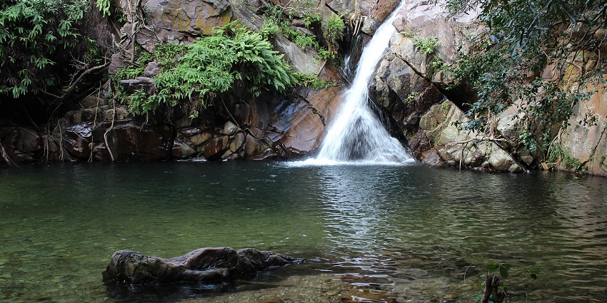 A picture of a tranquil waterfall amidst lush greenery, with water cascading down a rocky path