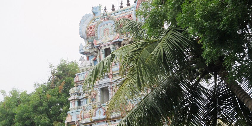 Behind the palm tree leaves, one of the Sirkazhi temples with an astonishing outer structure.