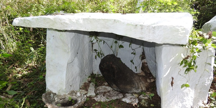 Nagathamman Temple's stone altar, surrounded by plants growing around dark rock inside.