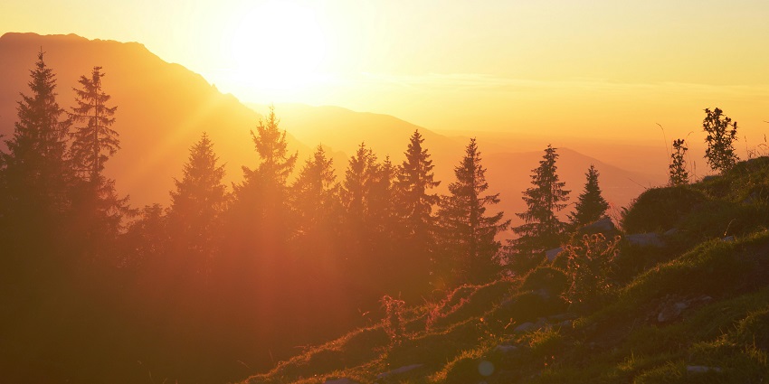An image showing the silhouette of trees during sunrise at Nagthat, creating a peaceful scene.